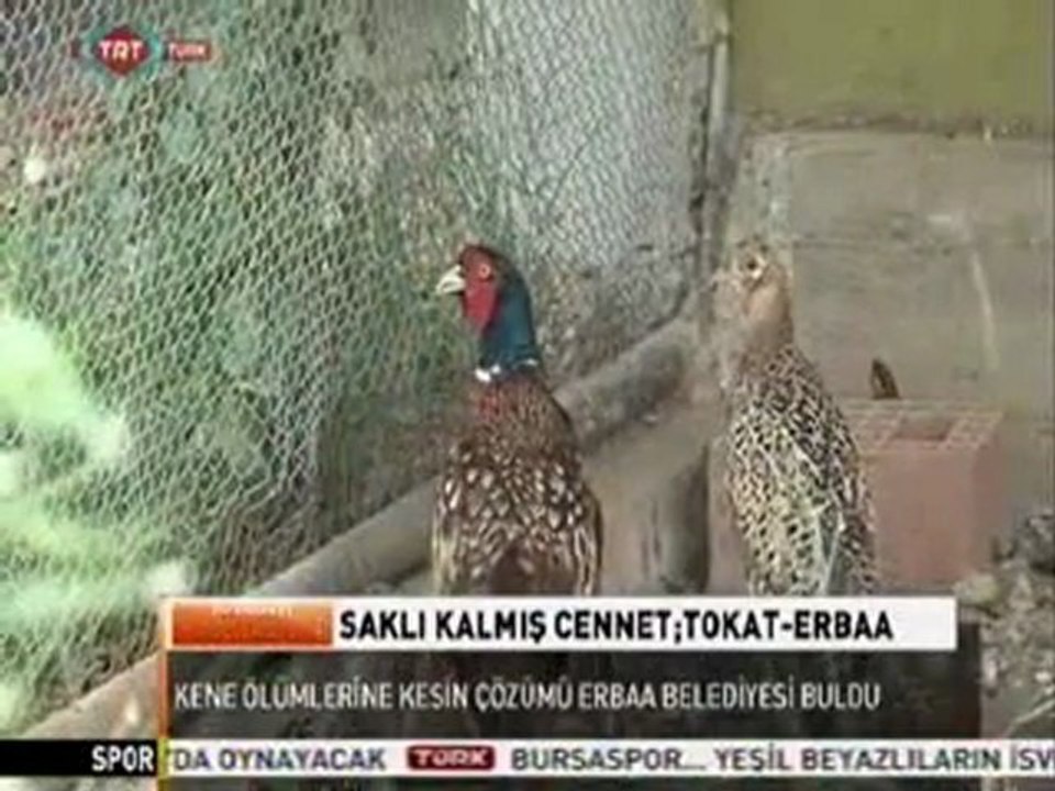 erbaa_tanitim