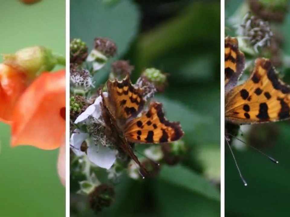 Le CPN val de Seine sur son territoire