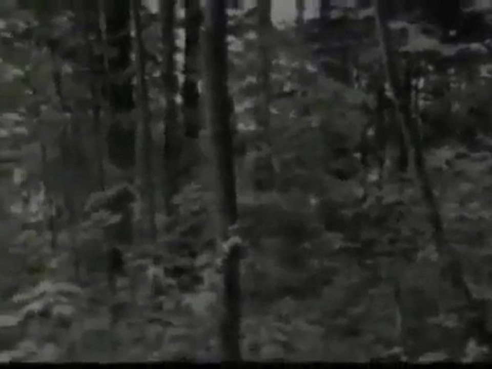 Posible ataque de un Djiin