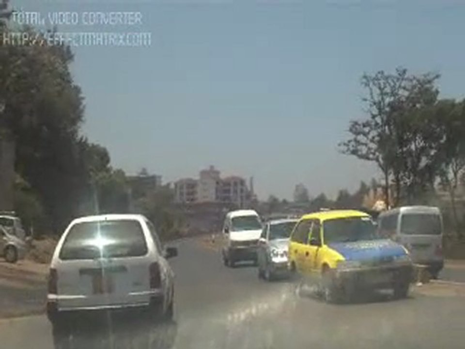 Pangani-forest section