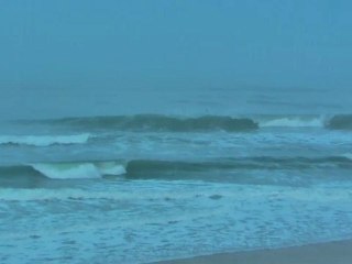 Dimanche 26 Février - Surf report vidéo 8H