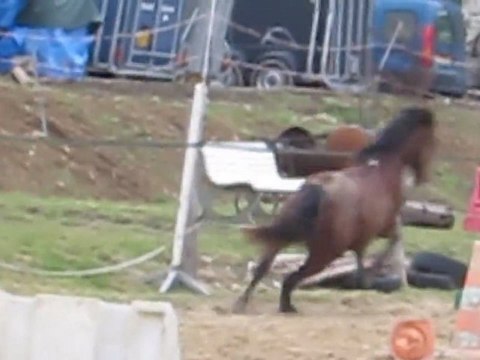 Z'avez pas vu passer mon cheval ???