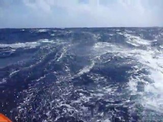 9 février :  sillage sous spi