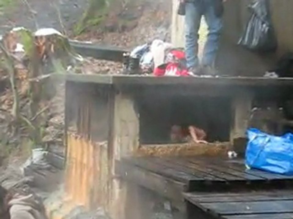 SOURCE croizat 22 dec 2011_01