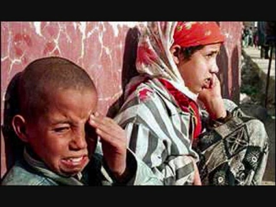 djamel bani (tamurtiw)