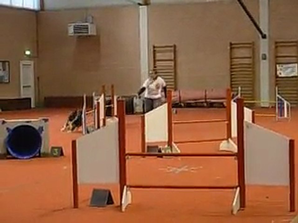 0212_Jumping_Wittes_Darwin
