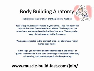 Understand your muscles - Body Anatomy
