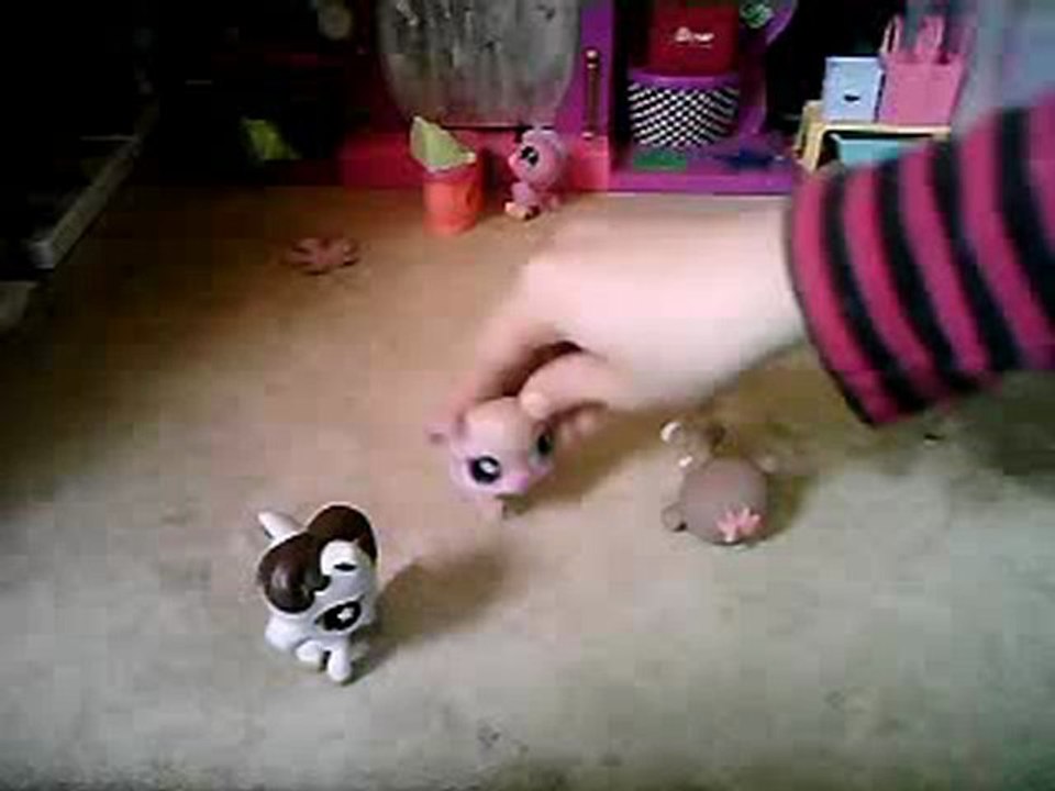 petshop une journée entre fille