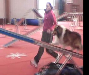 Wittes - 25 Février 2012 (Dolmen)