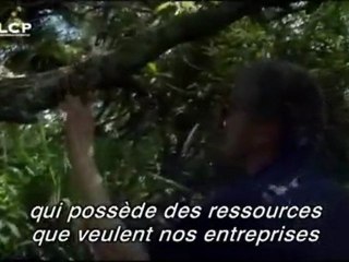 Dette et crise la vérité et la cause 2