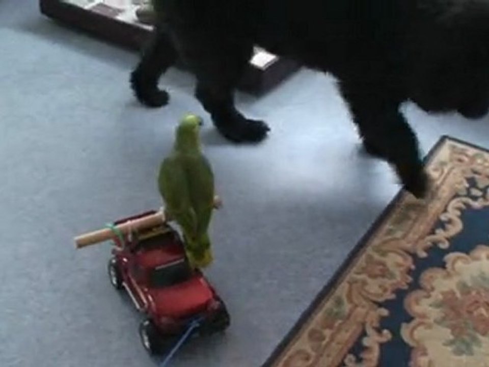 Philibert en balade avec le camion