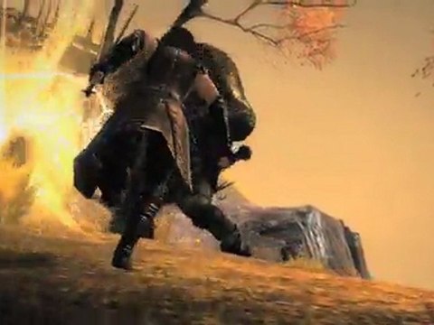 Présentation du Rôdeur- Guild Wars 2