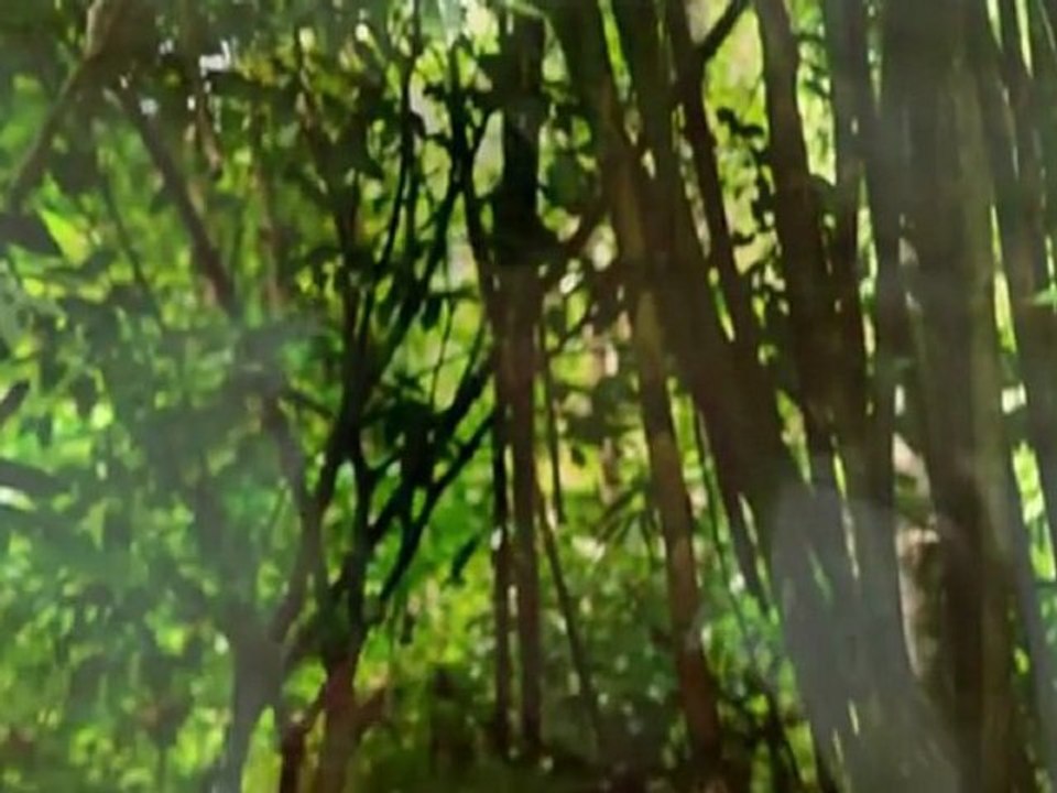 KEEN'V - LES MOTS Clip Official