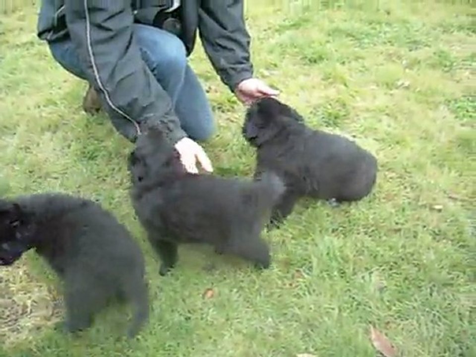 26 février 2012 (1) : visite de "papy et mamy"