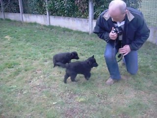 26 février 2012 (2) : chahut avec Marie-Paule