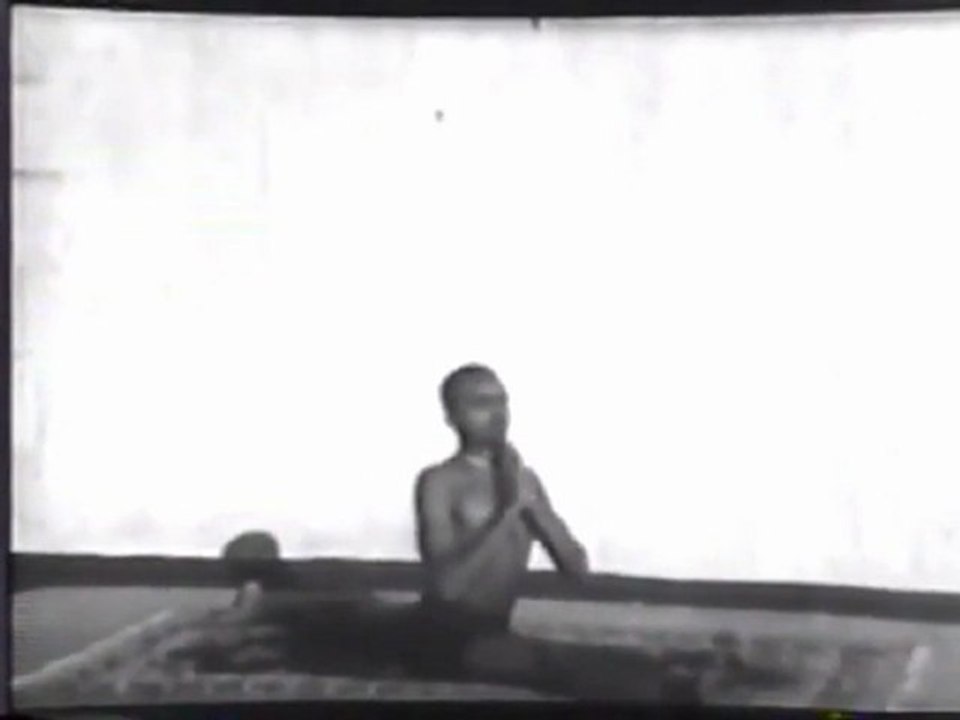 RAGAMATIC | HYP NO SIS DEMO VIDEO | HEIDORN-SARASVATI VEENA | NIEMUTH-ELECTRONICS