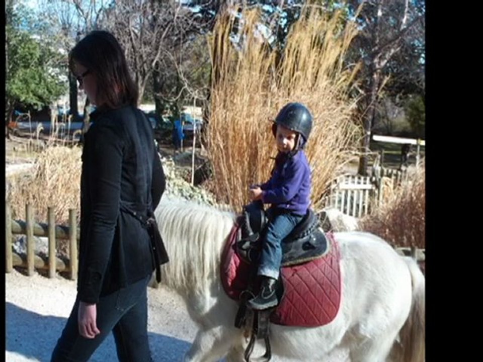 PILE-POILS MON PONEY