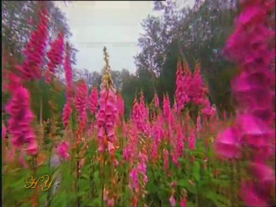 Üstad Bediüzzaman Hz İsa ve Hz Mehdi Birlikte Olacaklar Diyor