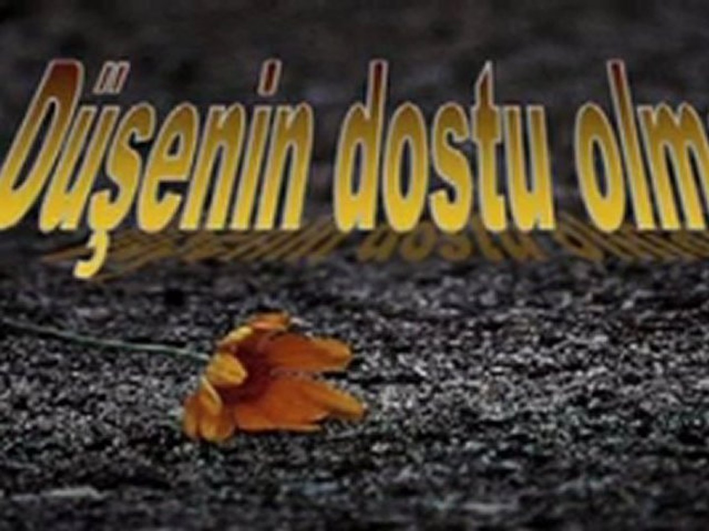 DÜŞENİN DOSTU OLMUYOR_DAİMİ ÖZDOĞAN