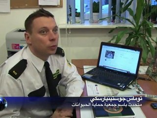 بولونيا: عند شرائك طوق بمئة يورو تحصل على كلب مجانا