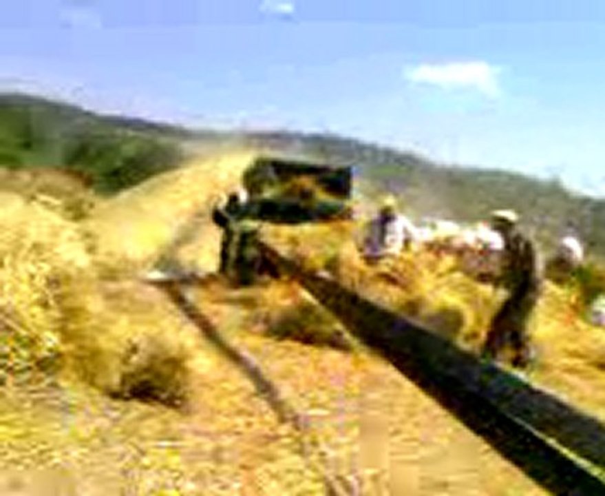 55 56s patozda