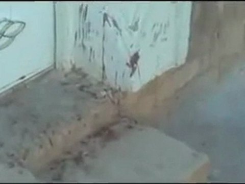 فري برس حماه المحتلة تقرير باسل الحموي عن مدينة حلفايا 26 2 2012