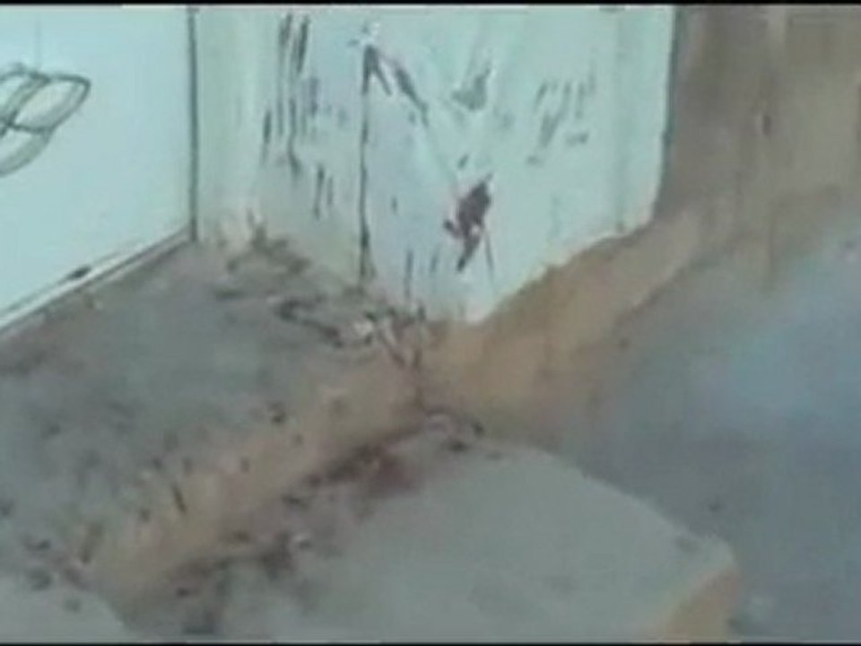 فري برس حماه المحتلة تقرير باسل الحموي عن مدينة حلفايا 26 2 2012