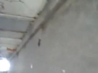 فري برس حماه المحتلة اضراب سوق برهان 26 2 2012