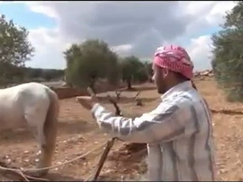 فري برس ادلب معرشورين من المحراث االى البغال من اصلاحات بشار الأسد 26 2 2012