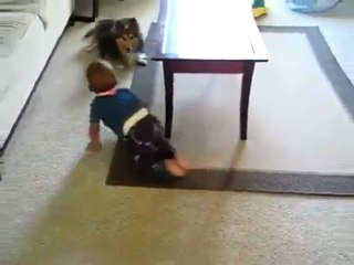 Απίστευτος σκύλος παίζει με ένα μωρό