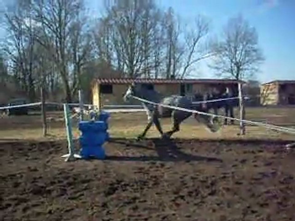 Saut en semi-liberté pour poney :)♥