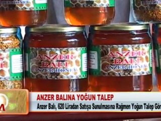 ANZER BALINA YOĞUN TALEP 23.02.2012