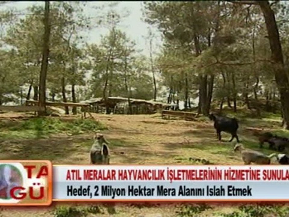 ATIL MERALAR HAYVANCILIK İŞLETMELERİNİN HİZMETİNE SUNULACAK 23.02.2012