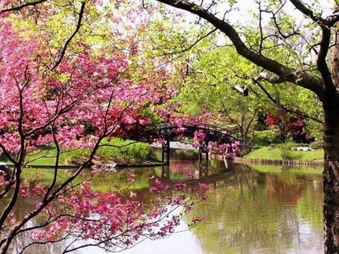 Parcs et jardins fleuris