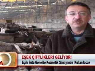 EŞEK ÇİFTLİKLERİ GELİYOR! 27.02.2012
