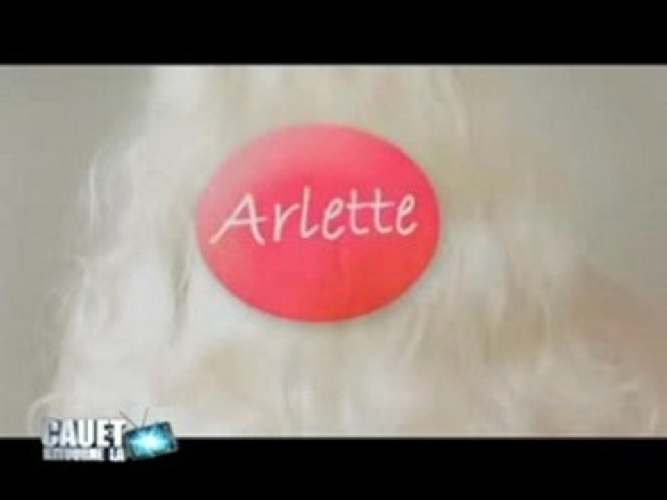 Cauet Pub - Arlette 1