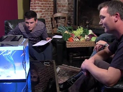 TOUS OPALE MONTREUIL-SUR-MER_E4_Partie 2