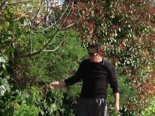 Lucien palomba Perles d'océan