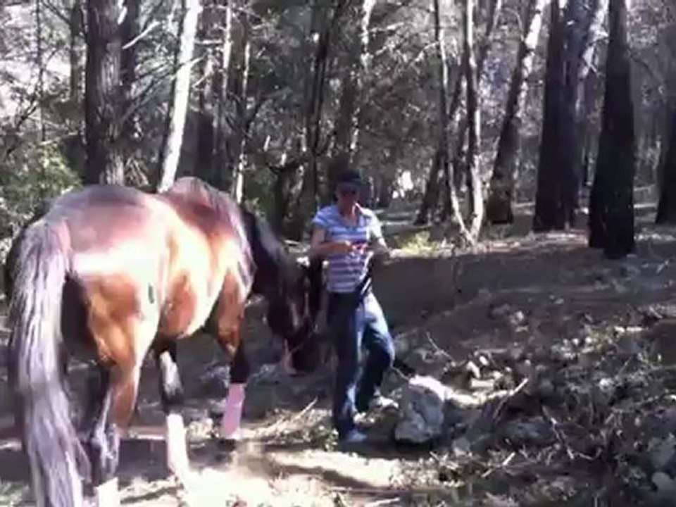 Vidéo Gag version louloute