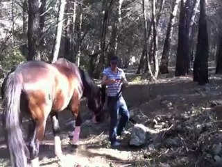 Vidéo Gag version louloute