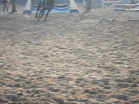 CSO Anadé le 26.02.12, Poney 4 Sim & Gwen