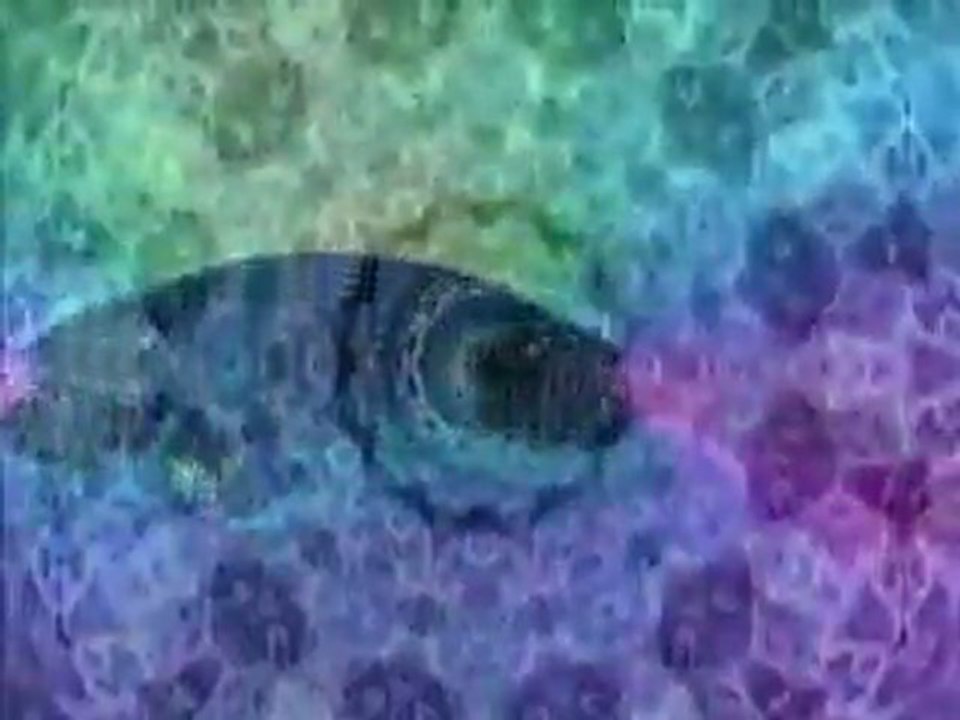 Solfeggio Frequenz - 741 HZ - Bewusstseinserweiterung