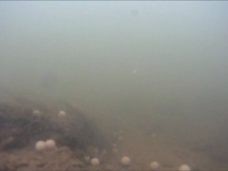 1er test subaquatique avec la camera Go Pro