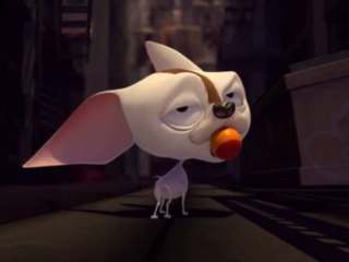 BROOKLYN ZOO (2009)