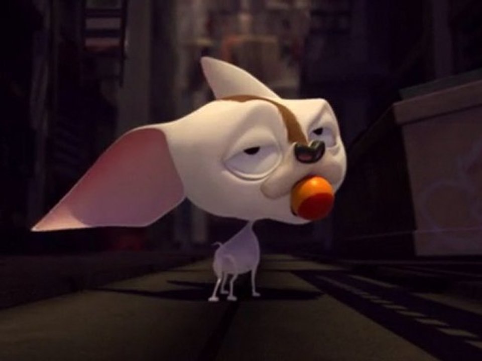 BROOKLYN ZOO (2009)
