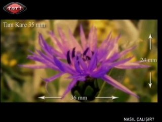 Nasıl Çalışır - Fotoğraf Makinası