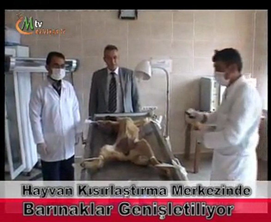 Hayvan Kısırlaştırma Merkezi Barınaklar Genişletiliyor