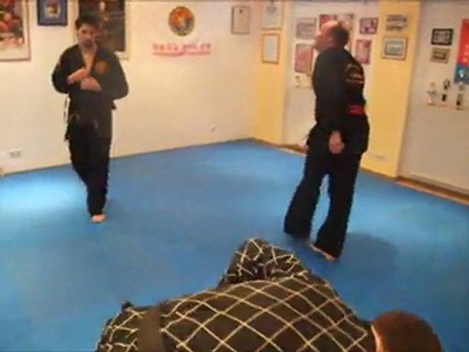 Combat Hapkido in Rheinstetten