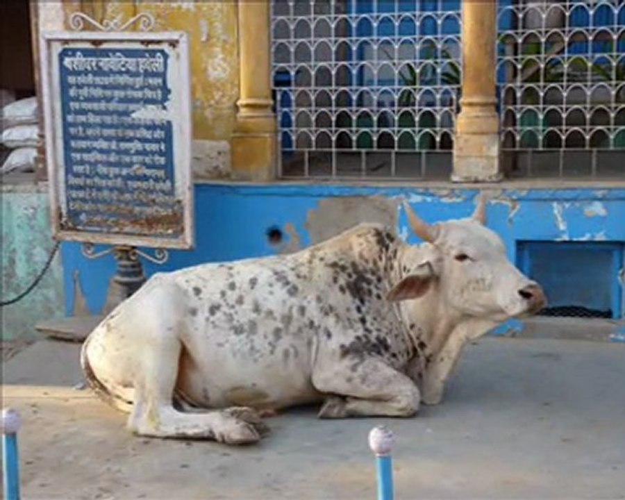 mandawa inde