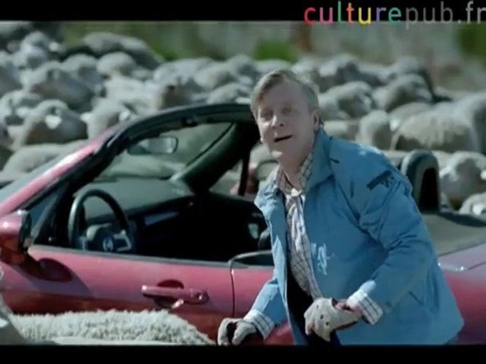 Sheep trap car and destroy it !